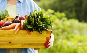 organic-blog-2