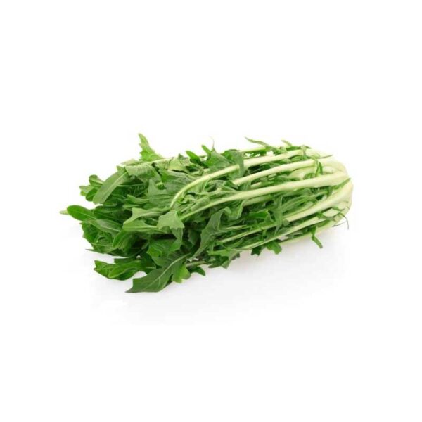 Cicoria