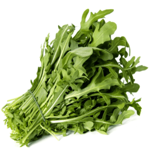 Rucola