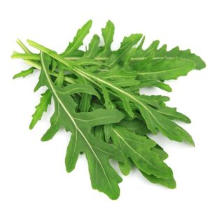 Rucola Selvatica