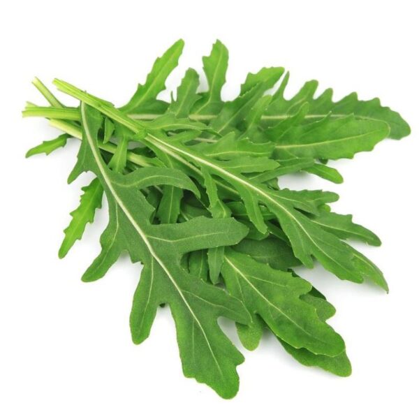 Rucola Selvatica