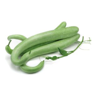 Zucca Lagenaria